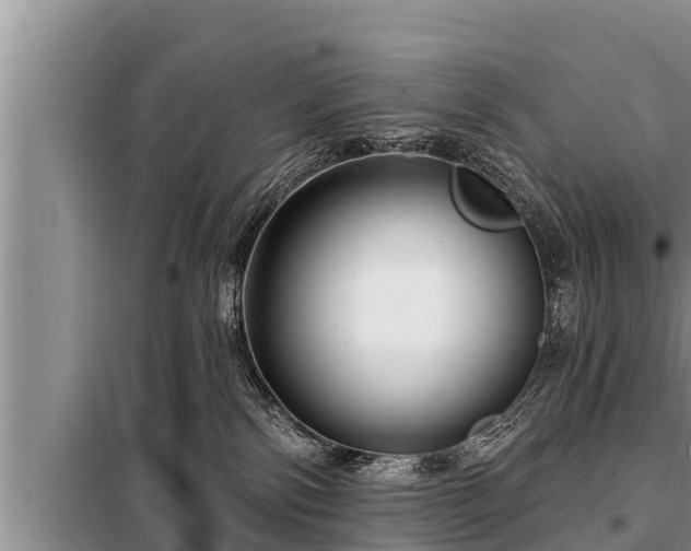 X0000098170138200805011022