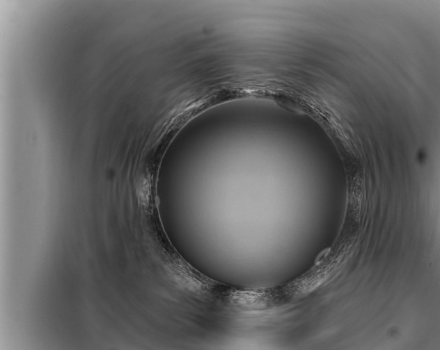 X0000098170139200805011022