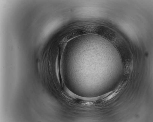 X0000098170140200805011022