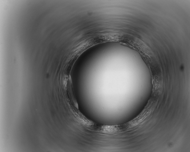 X0000098170141200805011022