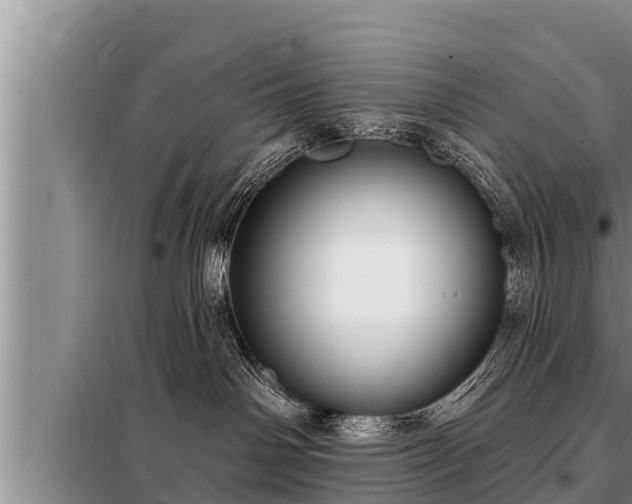 X0000098170142200805011022