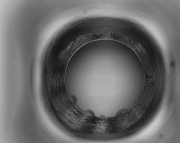 X0000098170143200805011022