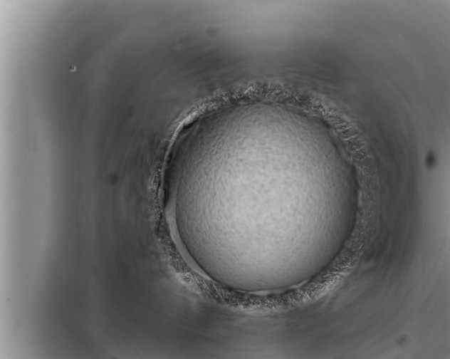 X0000098170144200805011022