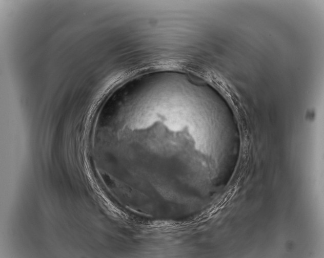 X0000098170145200805011021