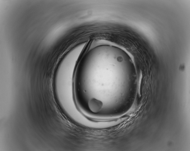 X0000098170146200805011021