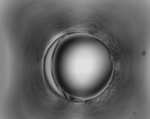 X0000098170148200805011021