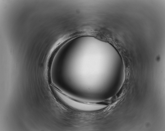 X0000098170150200805011021