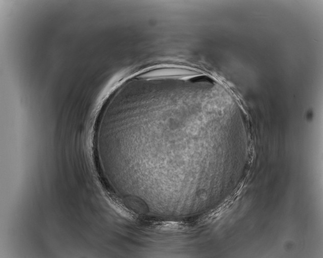 X0000098170151200805011021