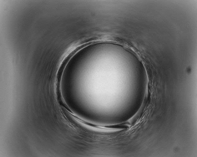 X0000098170152200805011021