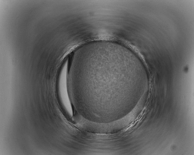 X0000098170154200805011021