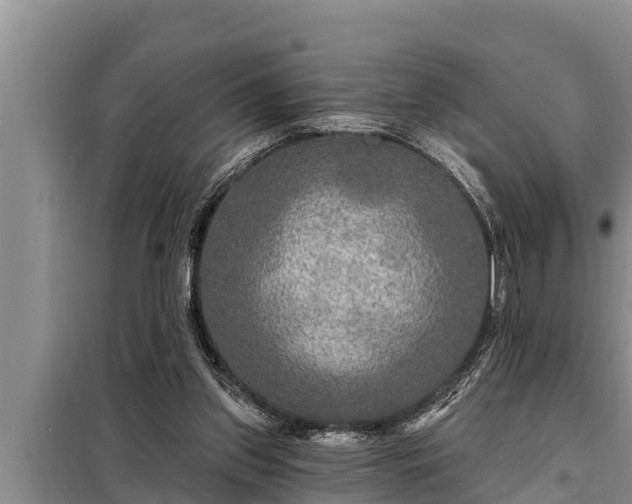 X0000098170157200805011021