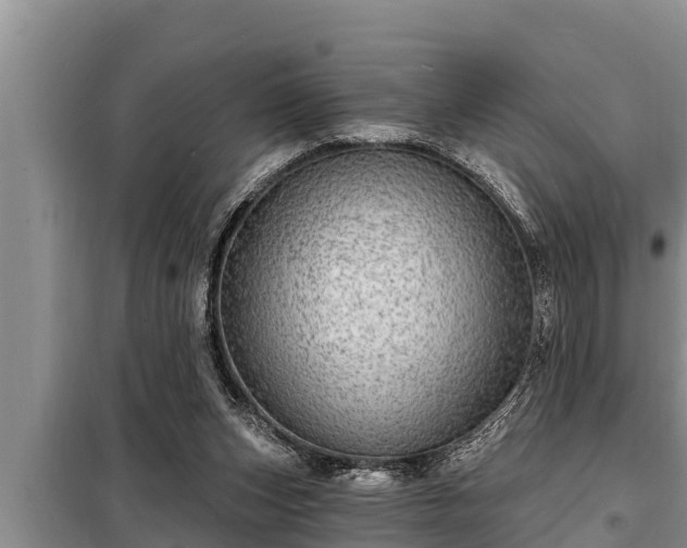 X0000098170159200805011021