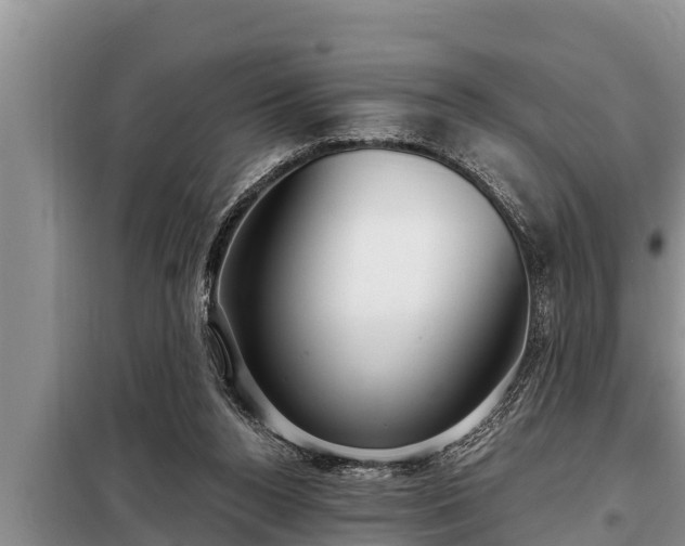 X0000098170160200805011021