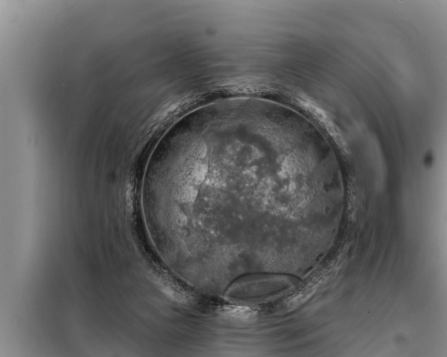 X0000098170161200805011021