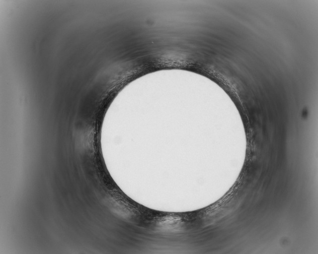 X0000098170162200805011021