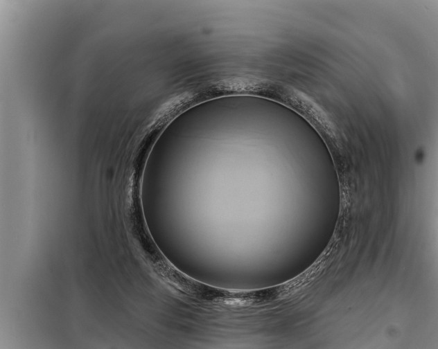 X0000098170163200805011021