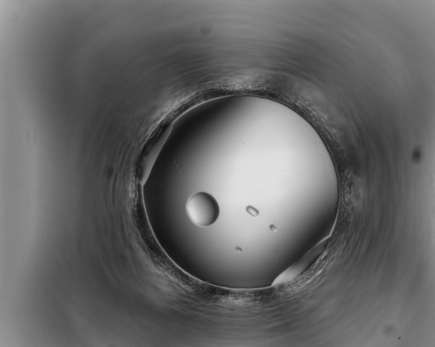 X0000098170164200805011021