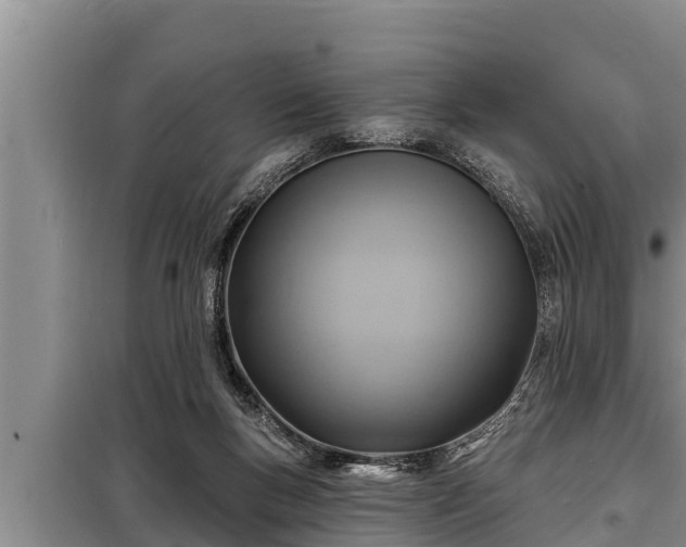 X0000098170167200805011021