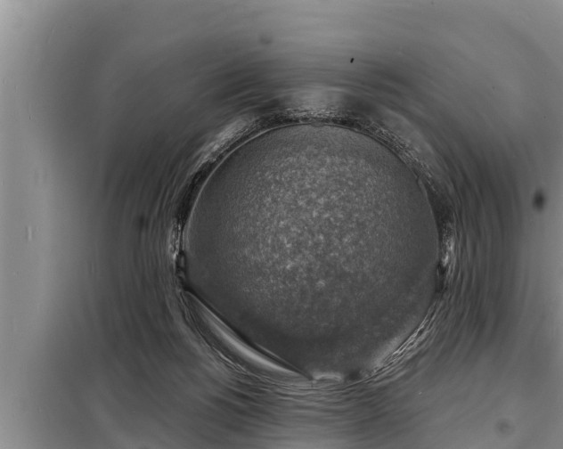 X0000098170168200805011021