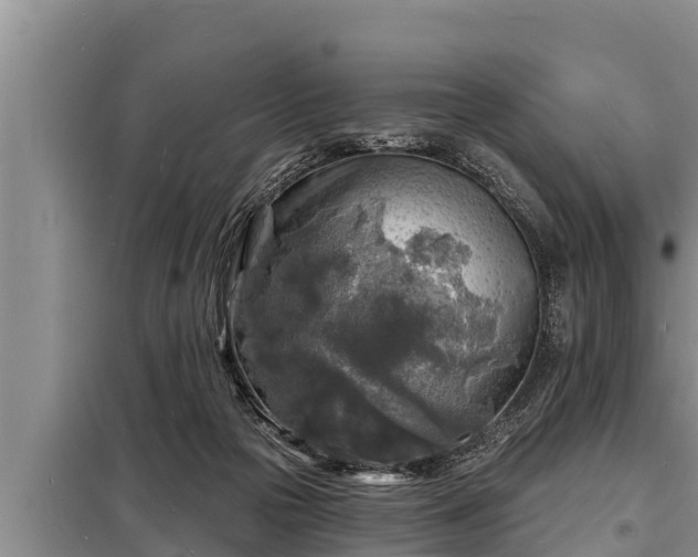 X0000098170169200805011021