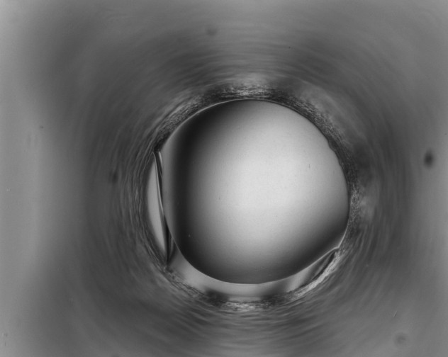 X0000098170170200805011022