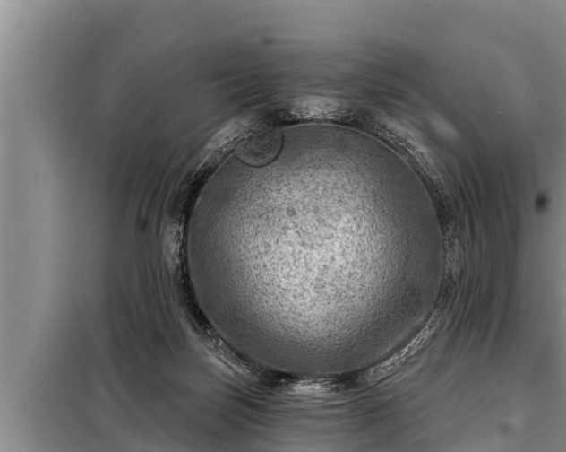 X0000098170171200805011022