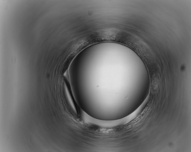 X0000098170172200805011022