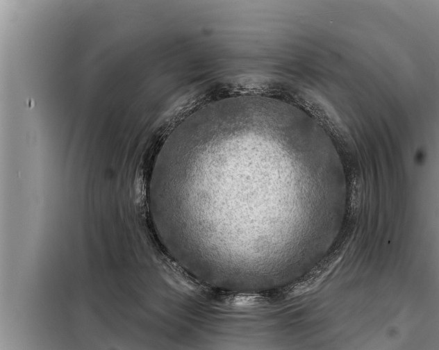 X0000098170173200805011022