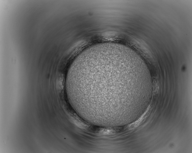 X0000098170174200805011022