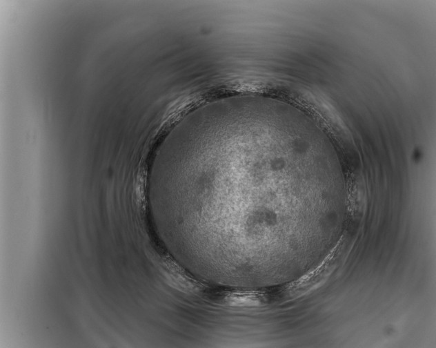 X0000098170175200805011022