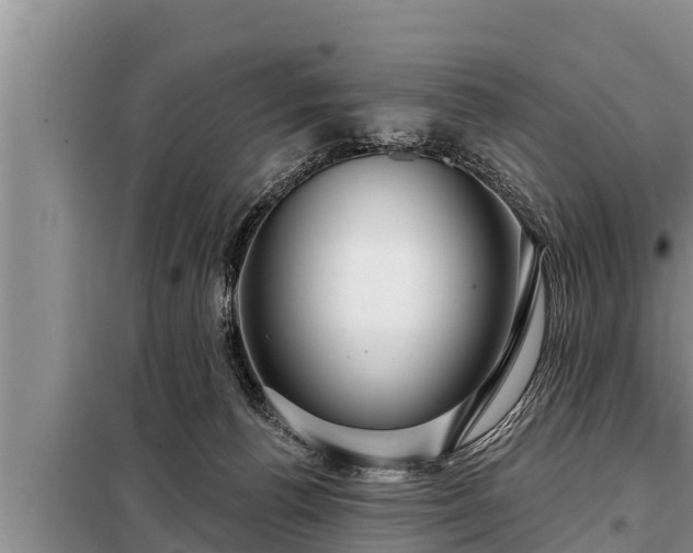 X0000098170176200805011022