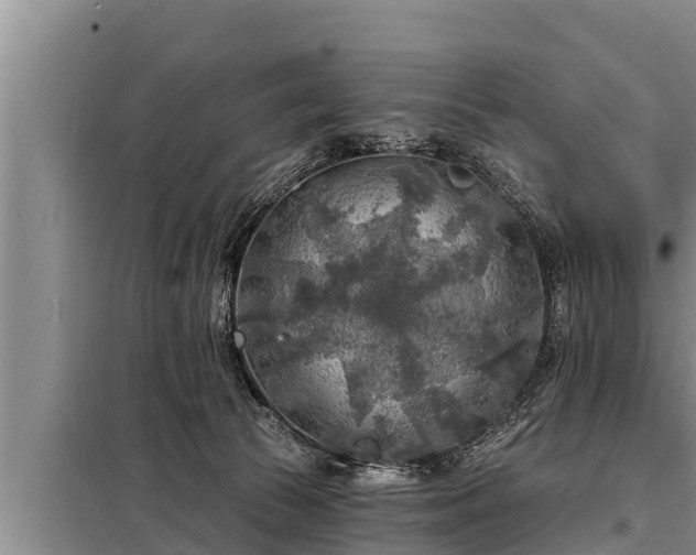 X0000098170177200805011022