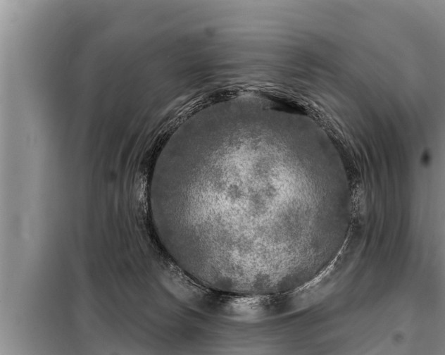 X0000098170178200805011022