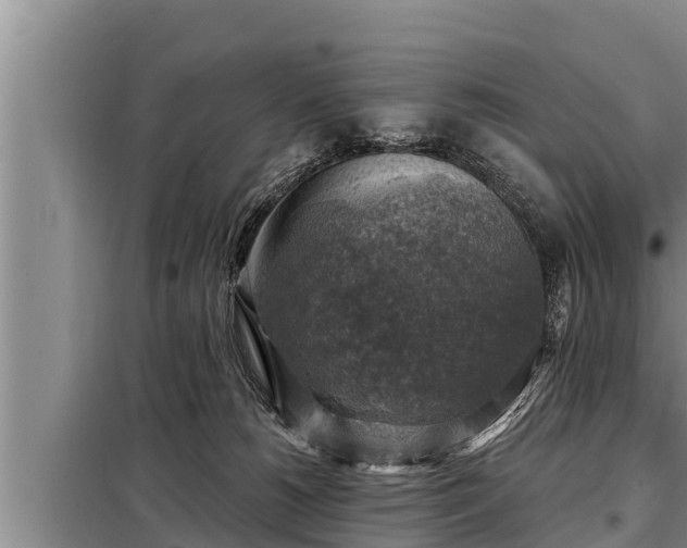 X0000098170180200805011022