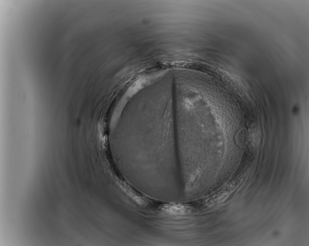 X0000098170181200805011022