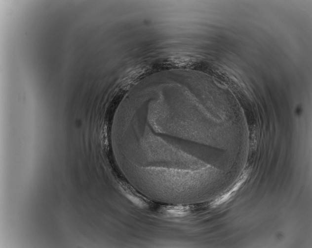 X0000098170182200805011022