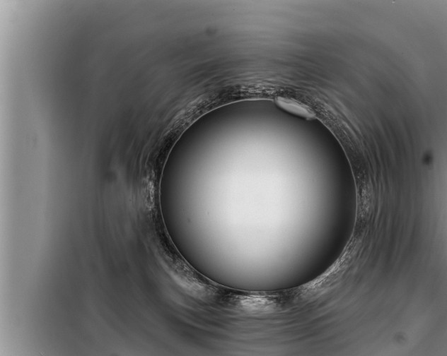 X0000098170183200805011022