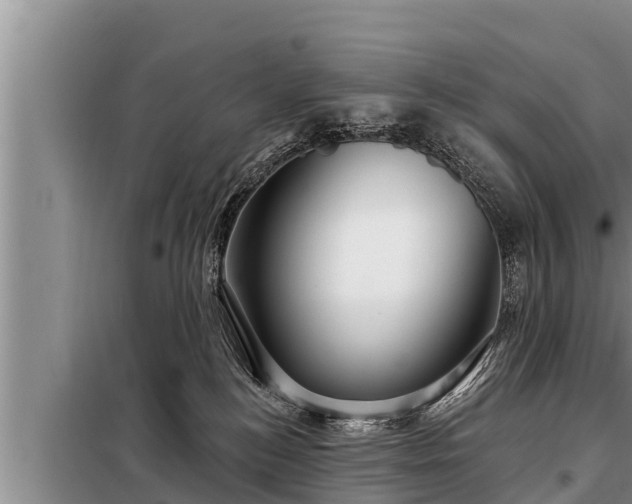 X0000098170184200805011022