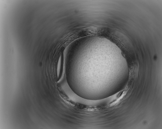 X0000098170186200805011022