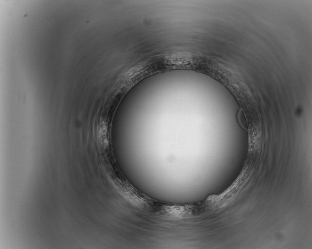 X0000098170187200805011022