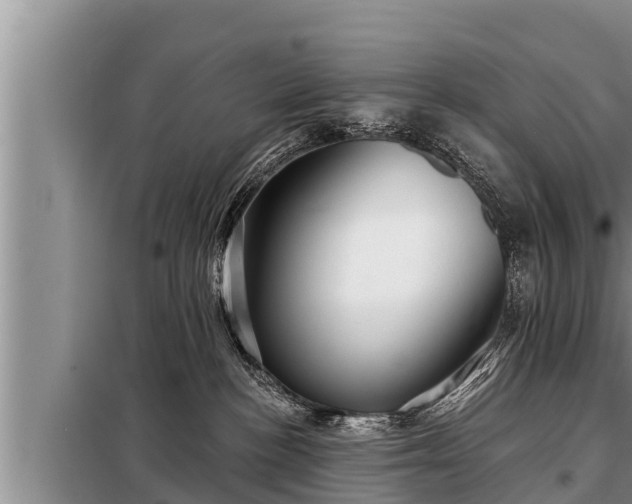 X0000098170188200805011022