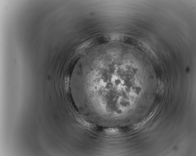 X0000098170189200805011022