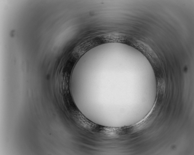 X0000098170190200805011022