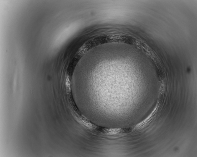 X0000098170191200805011022