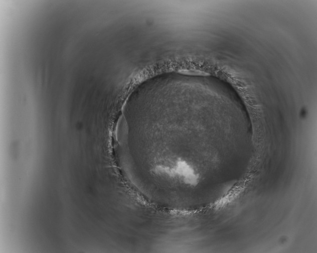 X0000098170192200805011022