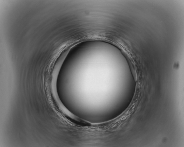 X0000098170193200805011021