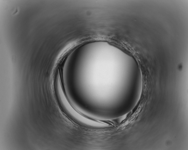 X0000098170197200805011021