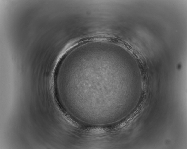 X0000098170198200805011021