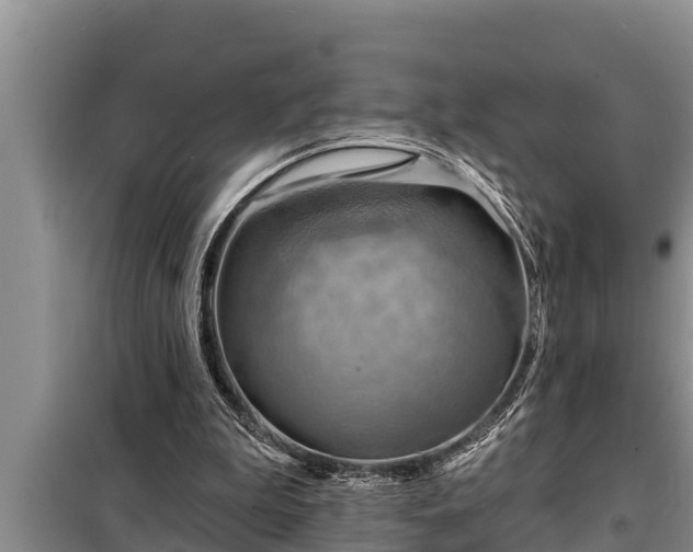 X0000098170199200805011021