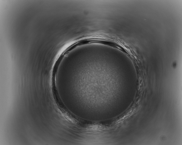 X0000098170200200805011021